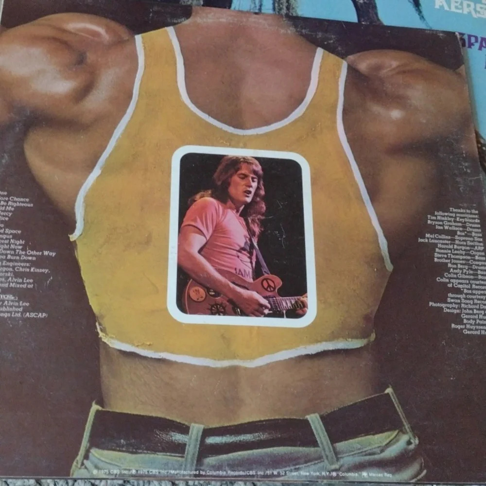 Alvin Lee LP - Picture 2 of 2